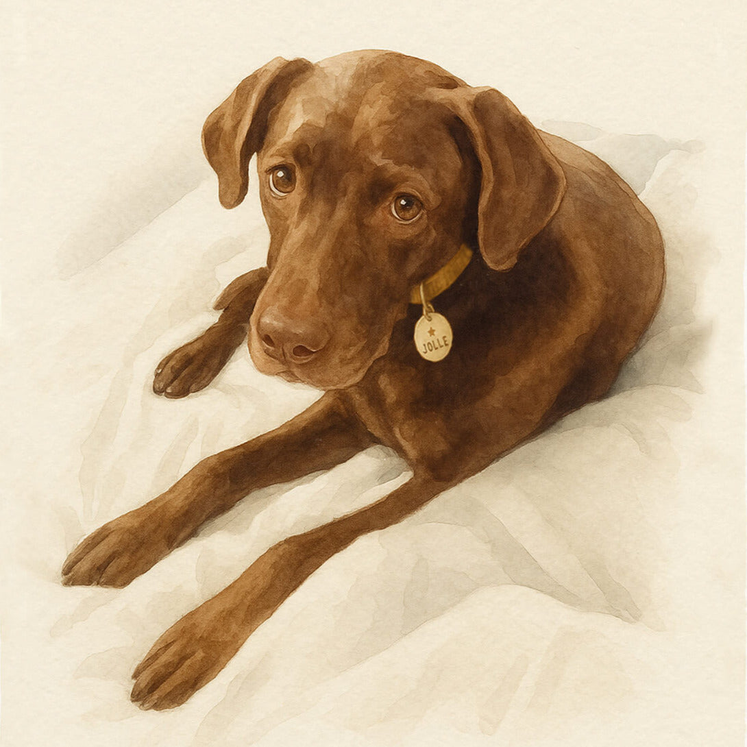 Neue Geschenkideen für Tierfreunde von Bloomgart: Ein künstlerisches Hundeportrait als liebevolle Erinnerung an einen treuen Begleiter.