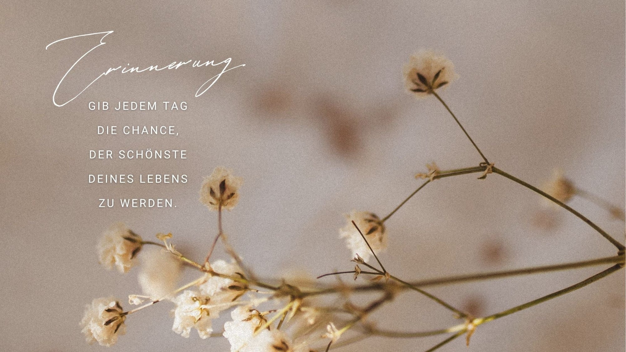 Blog-Banner mit dem Achtsamkeits-Zitat: "Erinnerung. Gib jedem Tag die Chance, der schönste deines Lebens zu werden." Das Zitat steht auf einem sanften, beigen Hintergrund neben zarten, getrockneten Blüten (Schleierkraut).