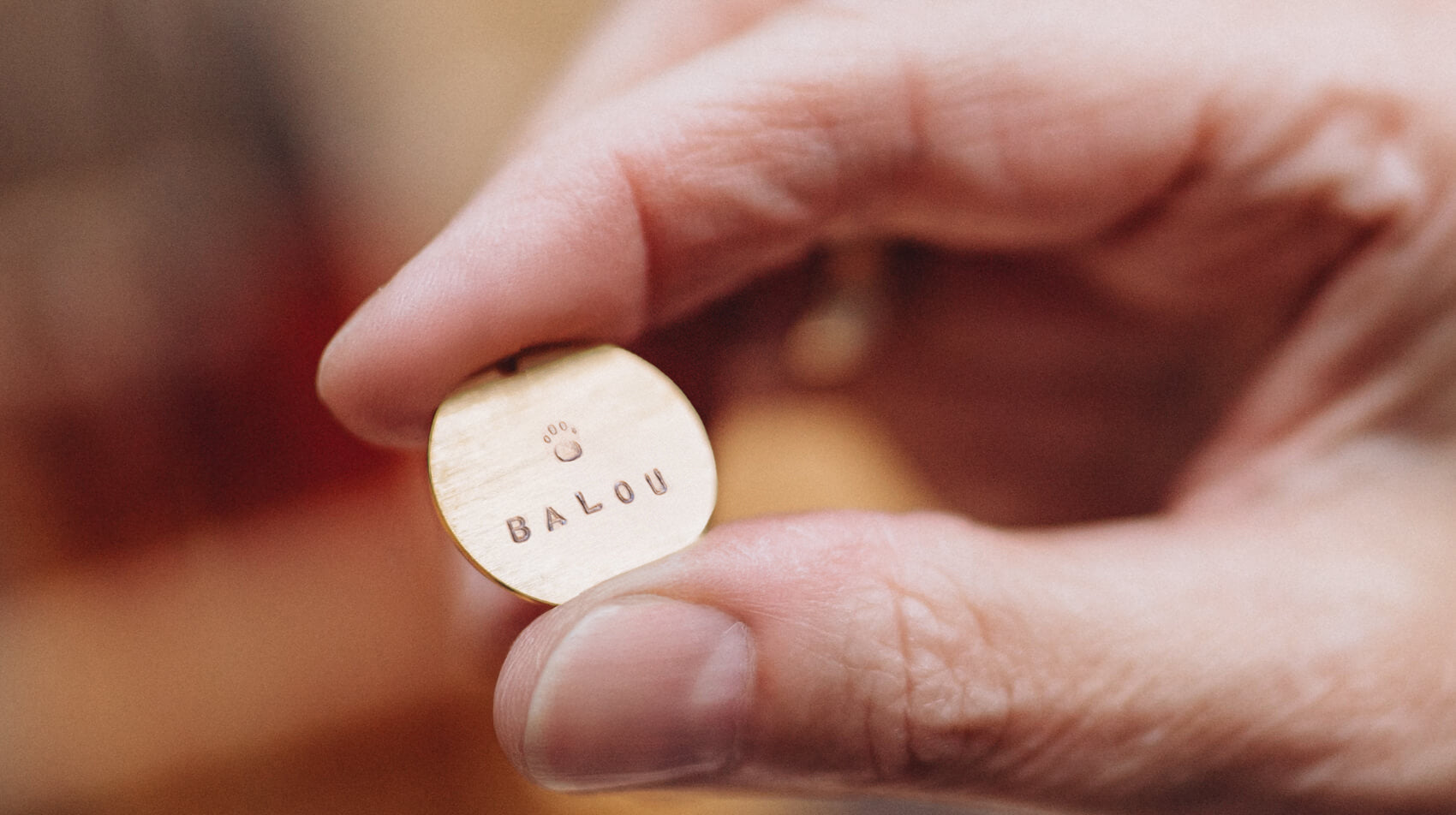 Präzise Handarbeit von Bloomgart: Ein von Hand gestempelter Silber-Anhänger mit dem Wunschnamen "BALOU" und einer Pfote.